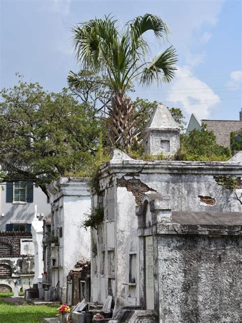 self guided cemetery tour new orleans